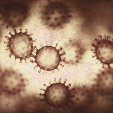 Coronavirus SARS-CoV-2 microscopic image